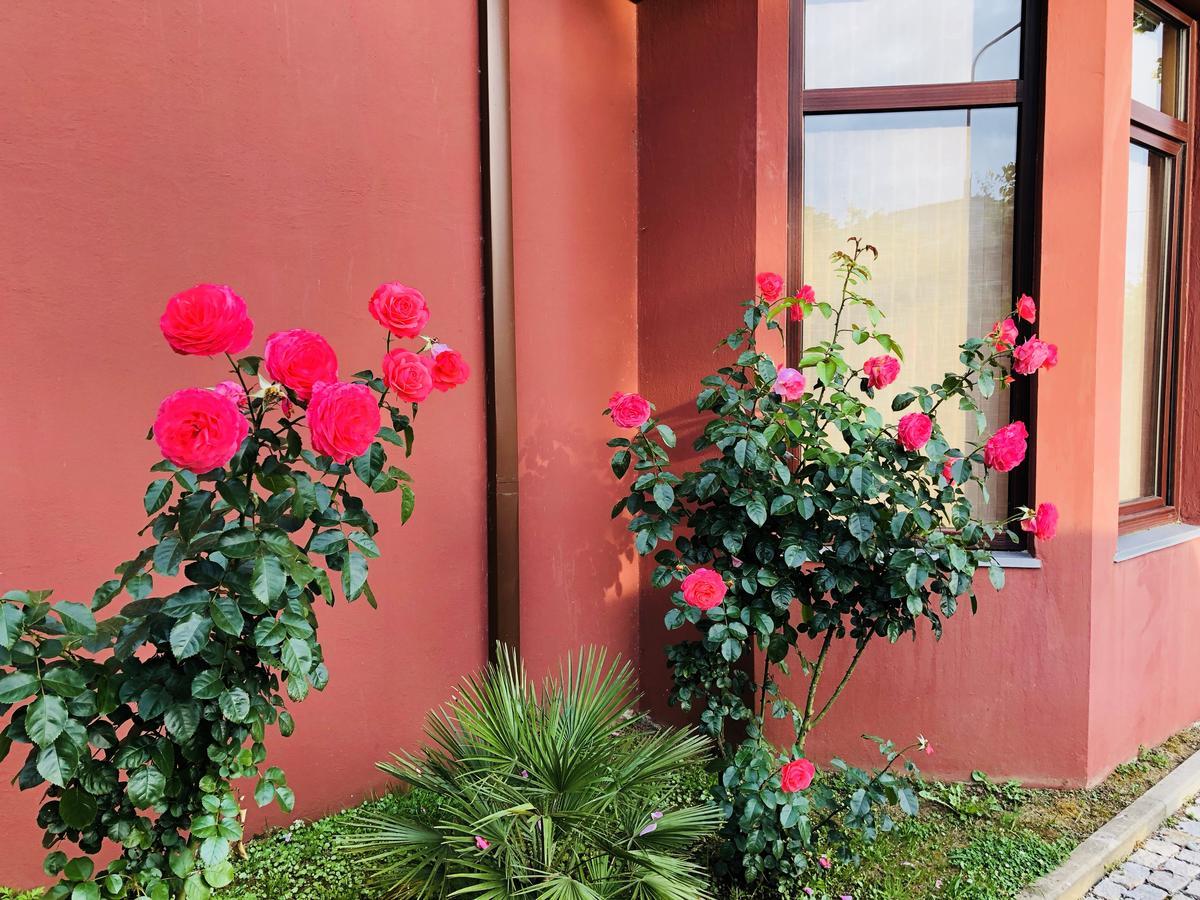 Villa Georgiana ゴニオ エクステリア 写真